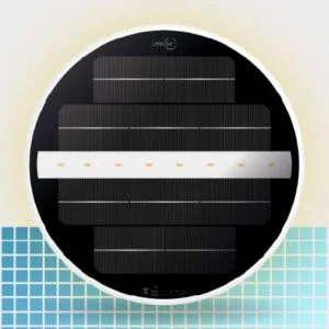 Moonlight Adhesive